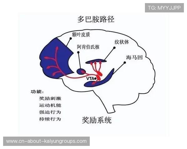 解析网球比赛中发球得分率的心理波动效应